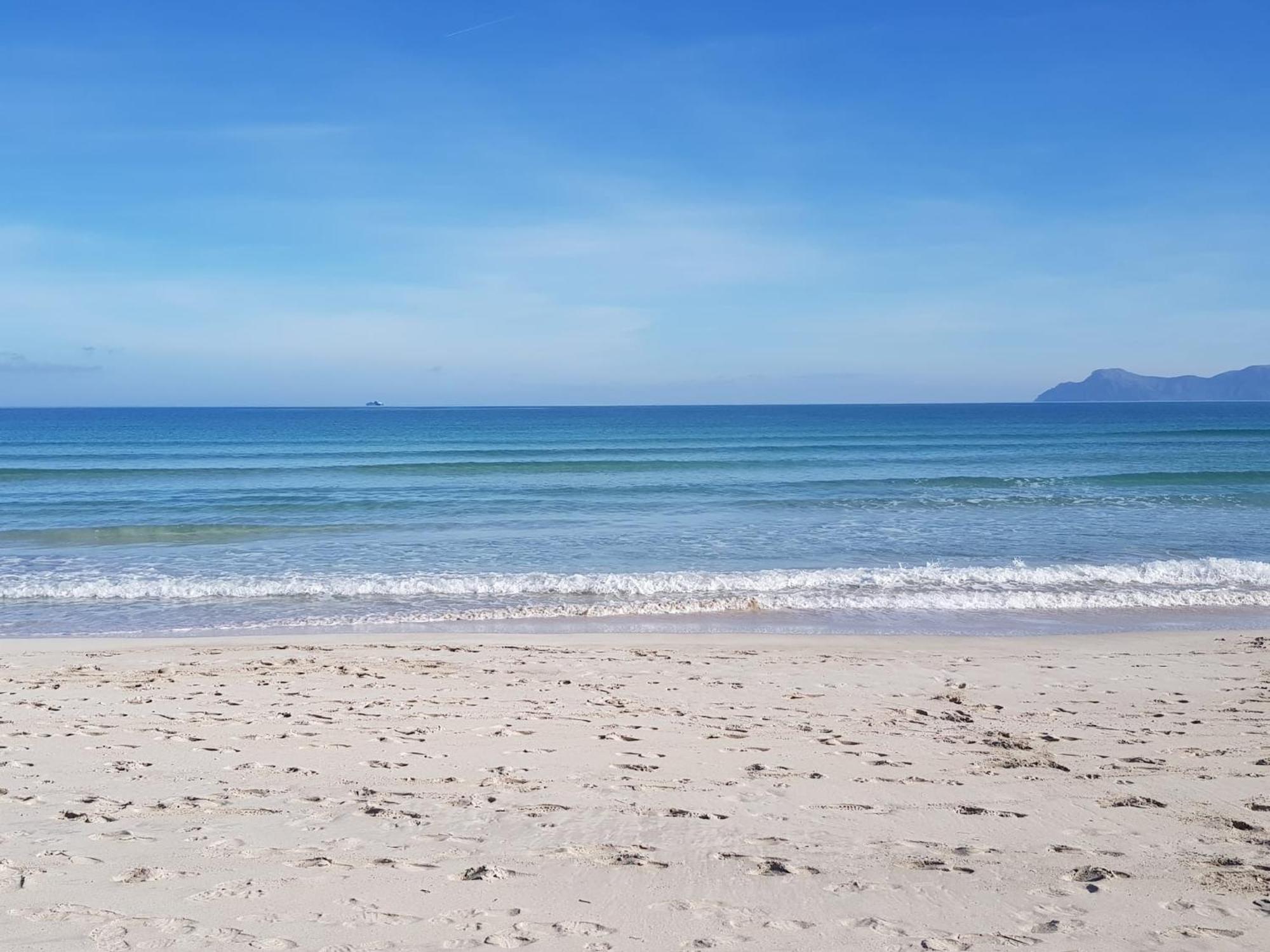 Appartement Ideal Mallorca - Concha